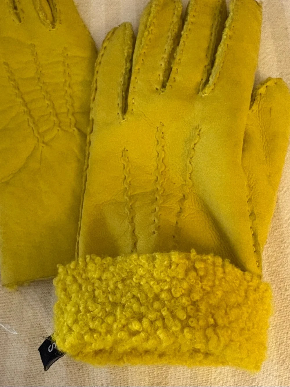 Chartreuse Women's Shearling Gloves
